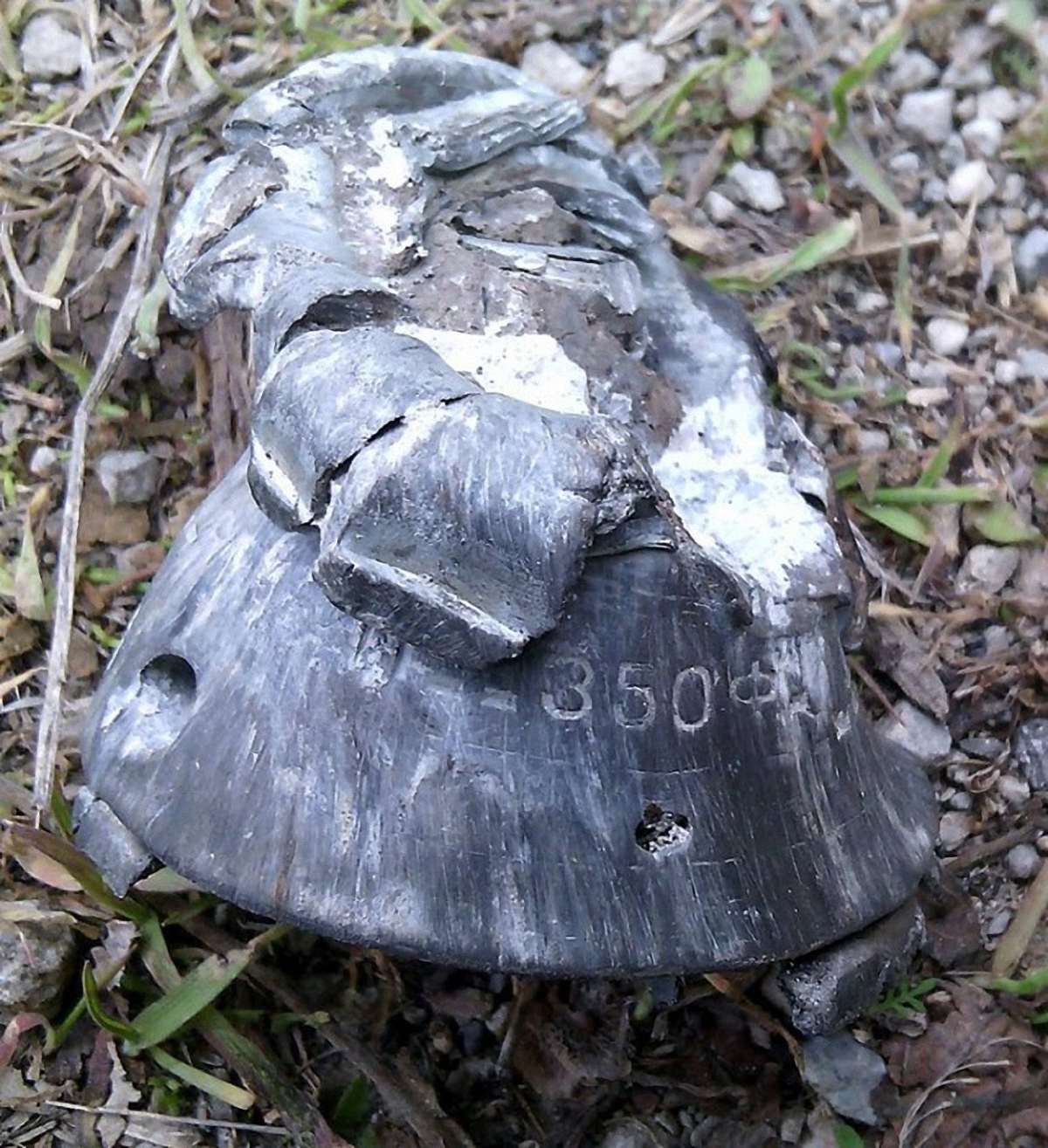В ОБСЕ зафиксировали обстрел Талаковки под Мариуполем