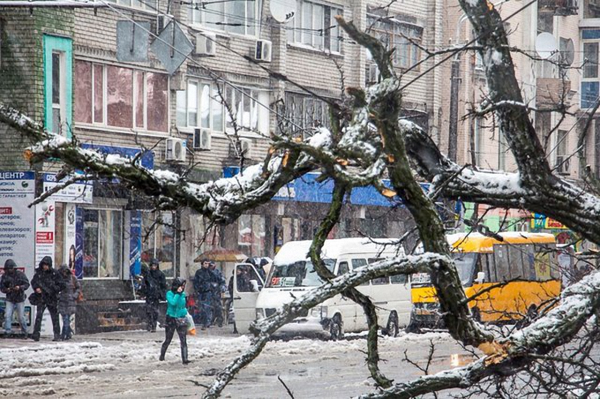 В снежном плену. Какие проблемы обнажило апрельское буйство стихии
