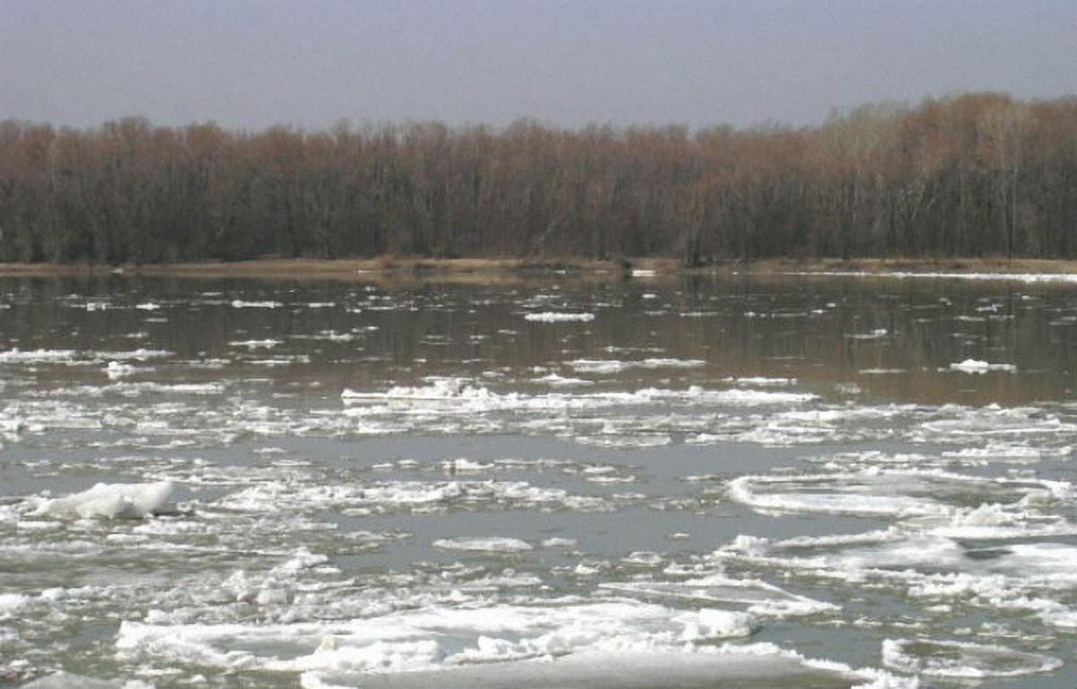Синоптики предупреждают о сходе лавин в Карпатах и подъеме уровня воды в реках