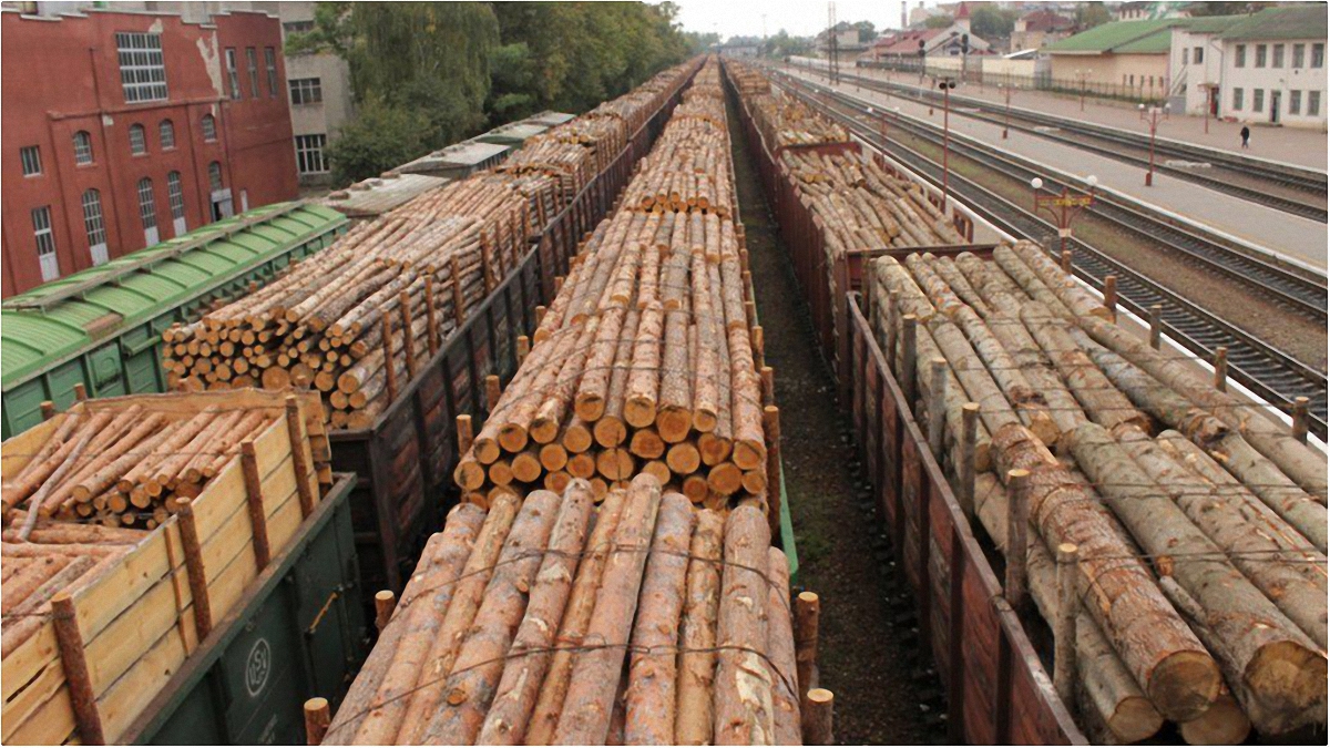 Геннадий Москаль ограничил вывоз лесоматериалов за рубеж - фото 1