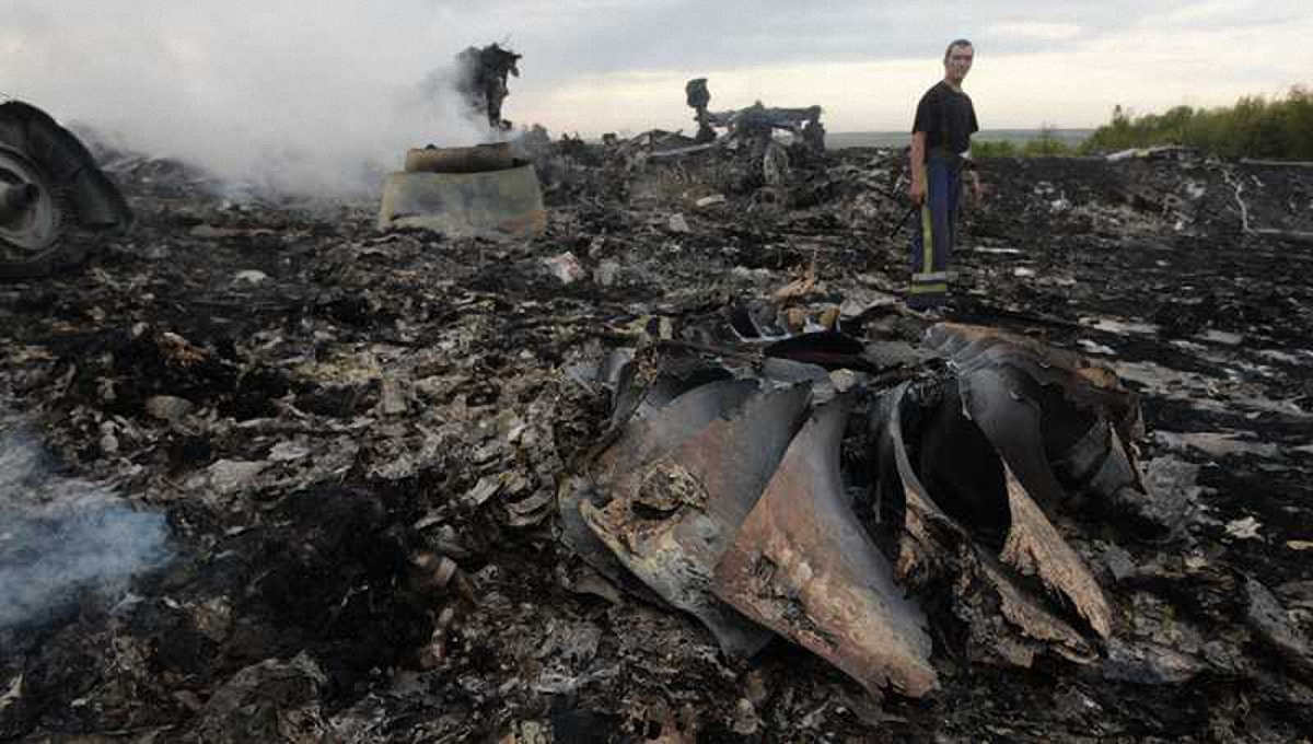 Нидерланды опубликуют результаты следствия о крушении "Боинга" в Донбассе - фото 1