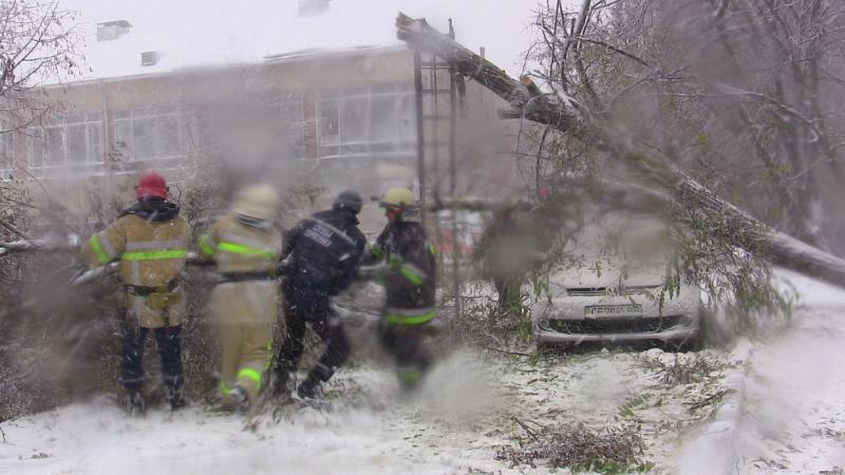Из-за непогоды спасателям приходится расчищать дороги от поваленных деревьев и вызволять автомобили - фото 1