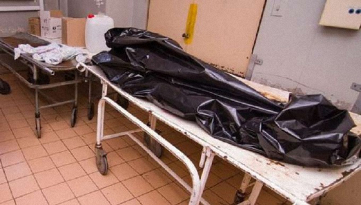 В "ДНР" орудуют "черные трансплантологи" из стран Евросоюза - фото 1