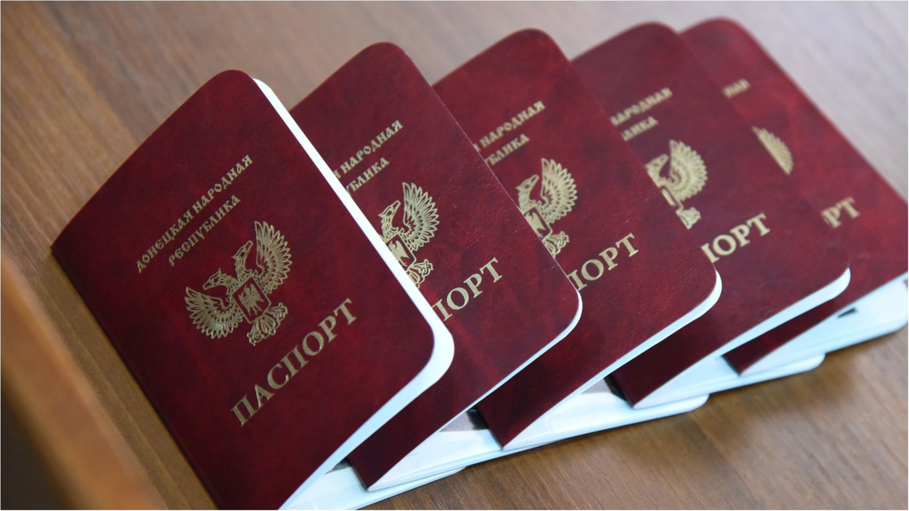Паспорта "ДНР" не признают даже российские пограничники  - фото 1