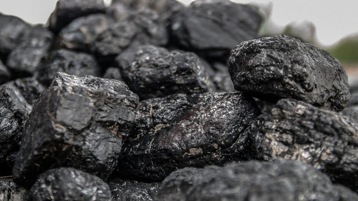 Боевики отправили 95 вагонов угля с незаконно захваченных украинских шахт  - фото 1