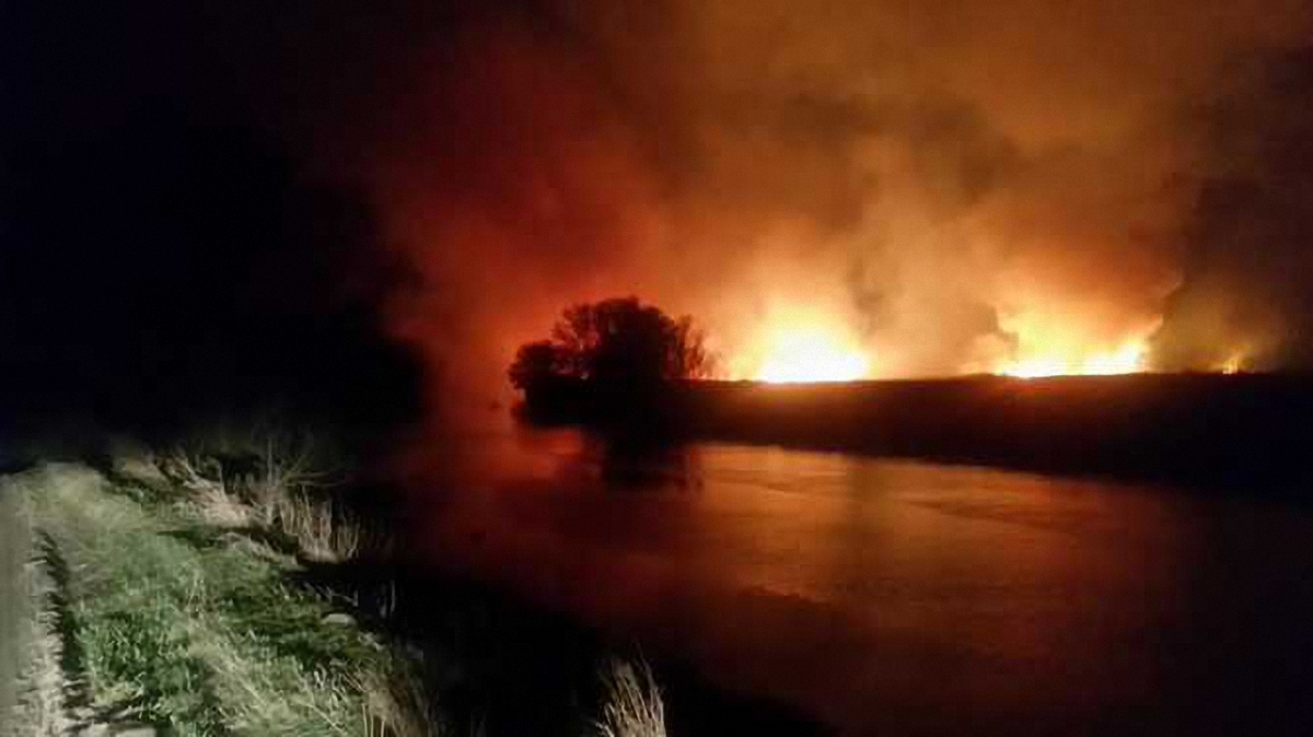 Спасатели приступили к локализации пожара под Киевом - фото 1