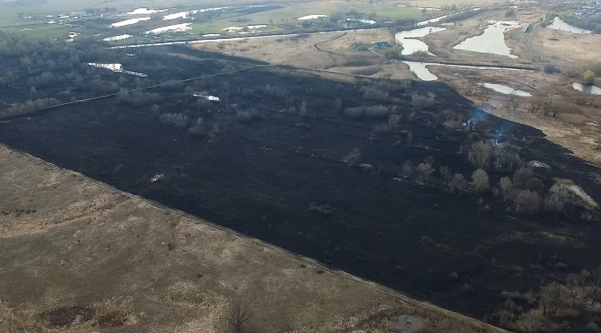 Огонь уничтожил 4 тысячи квадратных метров поля - фото 1