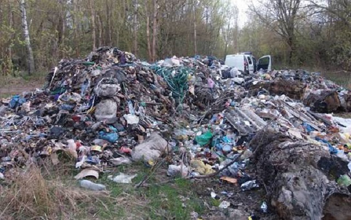 Полиция обнаружила 9 куч с мусором - фото 1