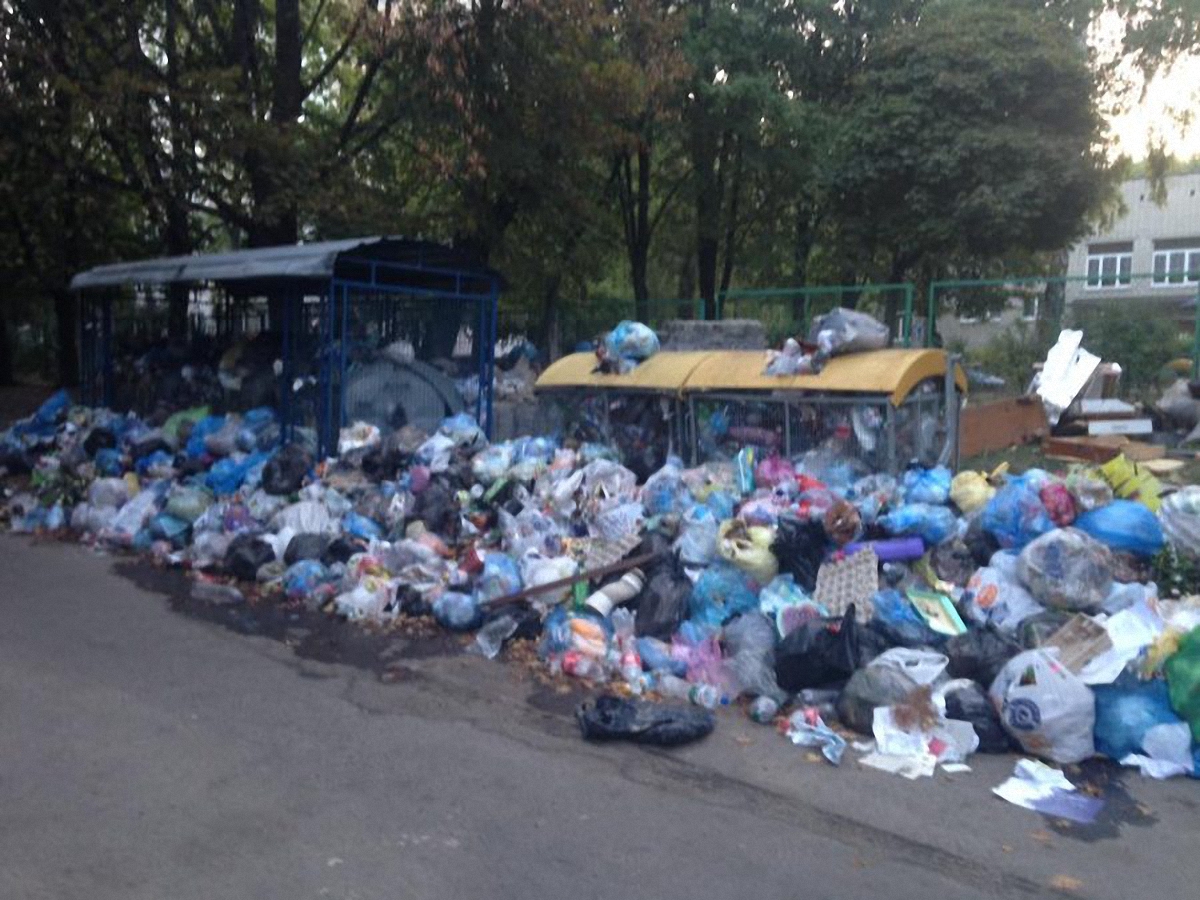 Проблема с вывозом мусора была в городе на протяжение 11 месяцев - фото 1