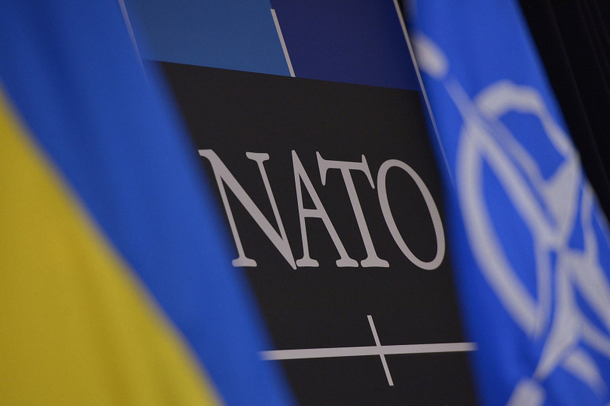 Украина возьмет курс на вступление в НАТО - фото 1