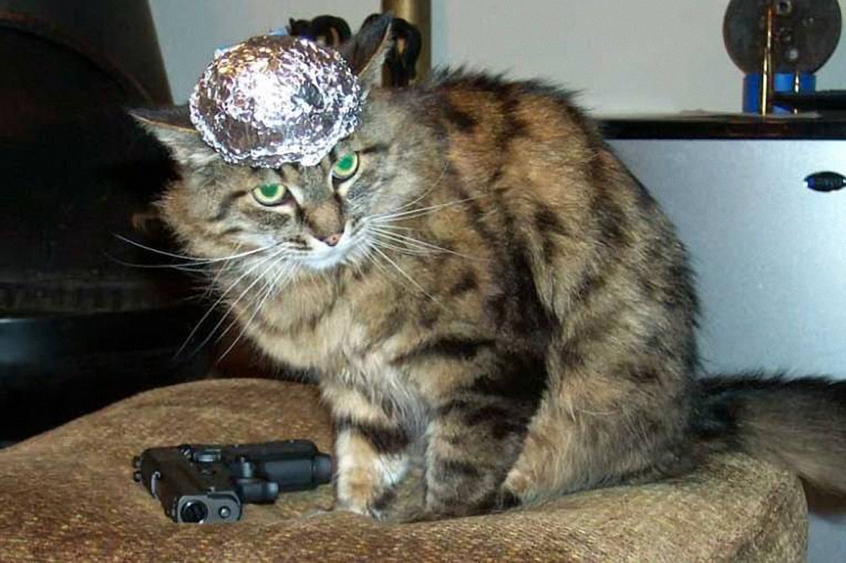 Даже кот готов к кибератаке - фото 1