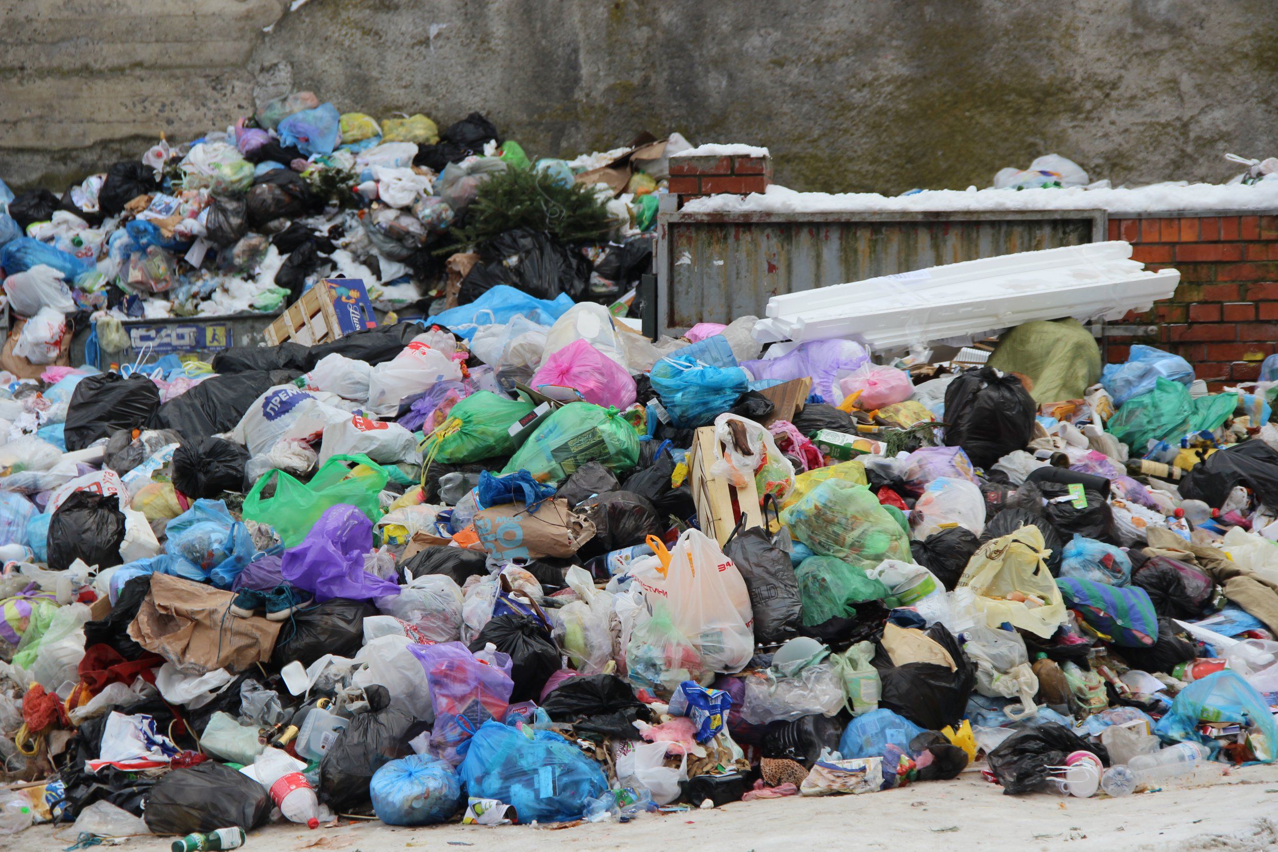 Во Львове существует проблема с вывозом мусора - фото 1