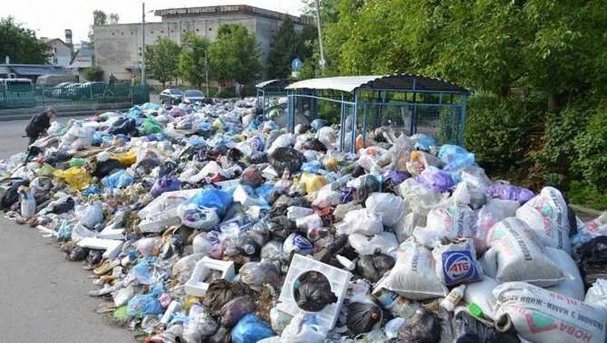 12 тысяч тонн мусора планируют вывезти за 2 недели - фото 1