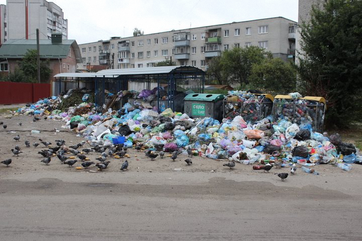 Пока политики дискутируют, мусор остается на улицах Львова - фото 1