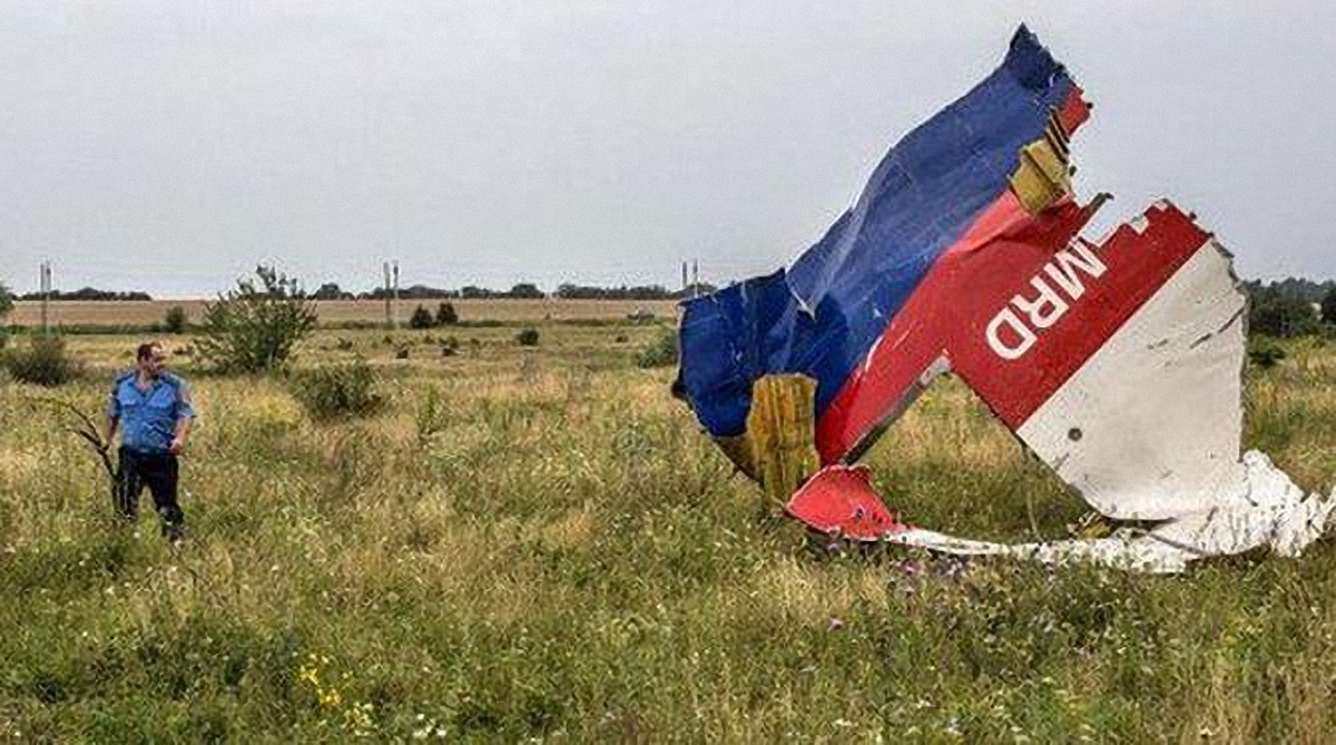 В Нидерландах откроют мемориальный парк жертвам трагедии MH17 - фото 1