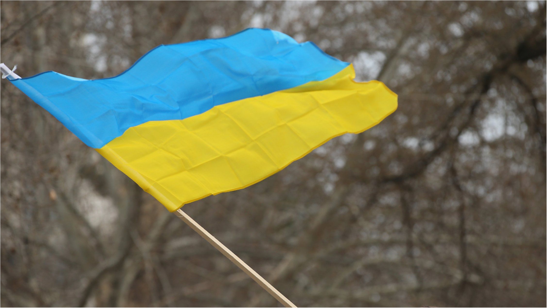 Подростки сожгли флаг Украины  - фото 1