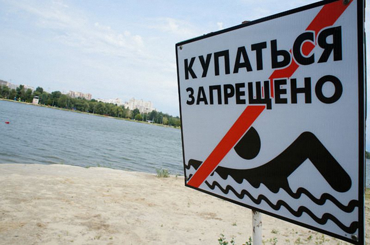 В Николаеве из-за холеры запретят купание и вылов рыбы - фото 1