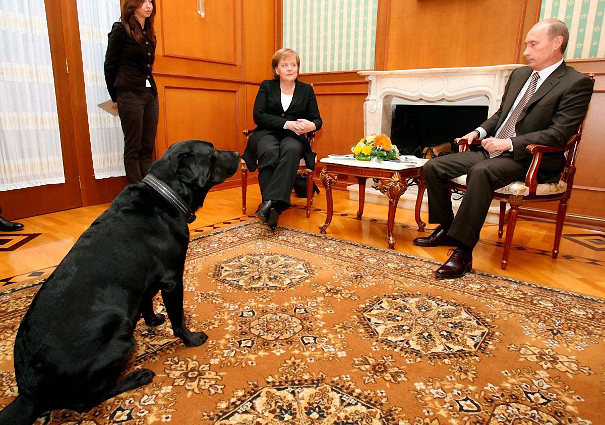 Путина назвали собакой - фото 1