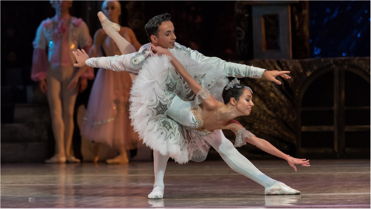 Стоянов и Кухар провели благотворительный балет, собравший аншлаг - фото 1