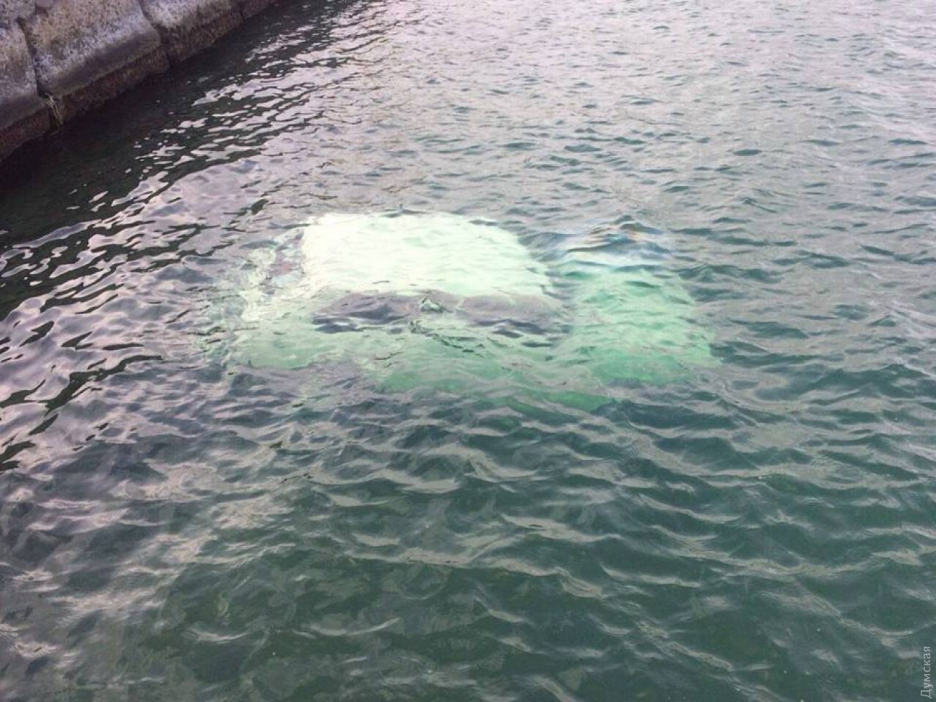 В Одессе в море нашли затонувший автомобиль с человеком внутри - фото 1