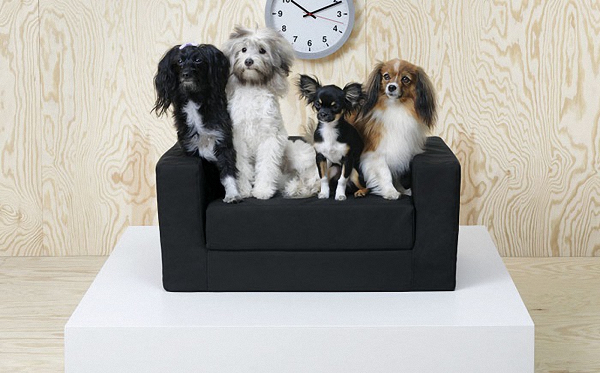 IKEA решила обустроить жизнь домашних животных - фото 1