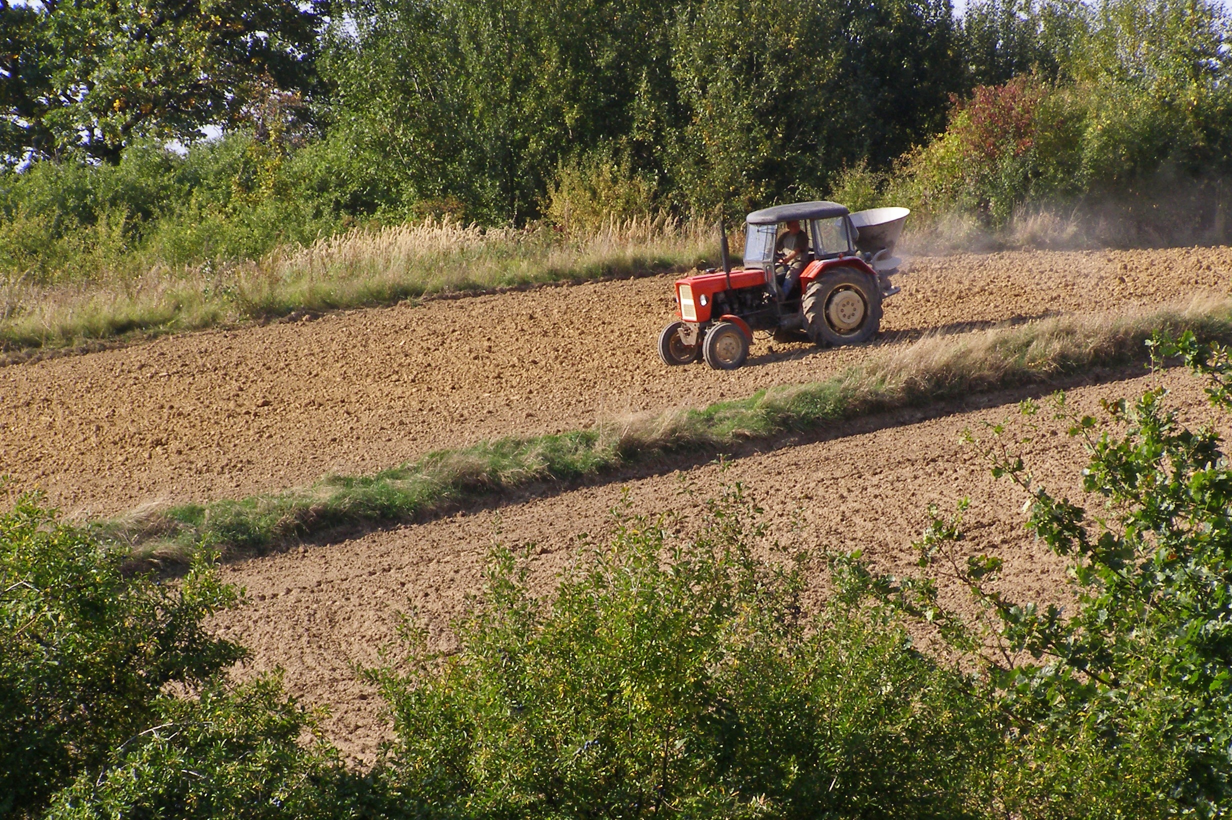 В Украине запрещено продавать селькохозяйственную землю  - фото 1