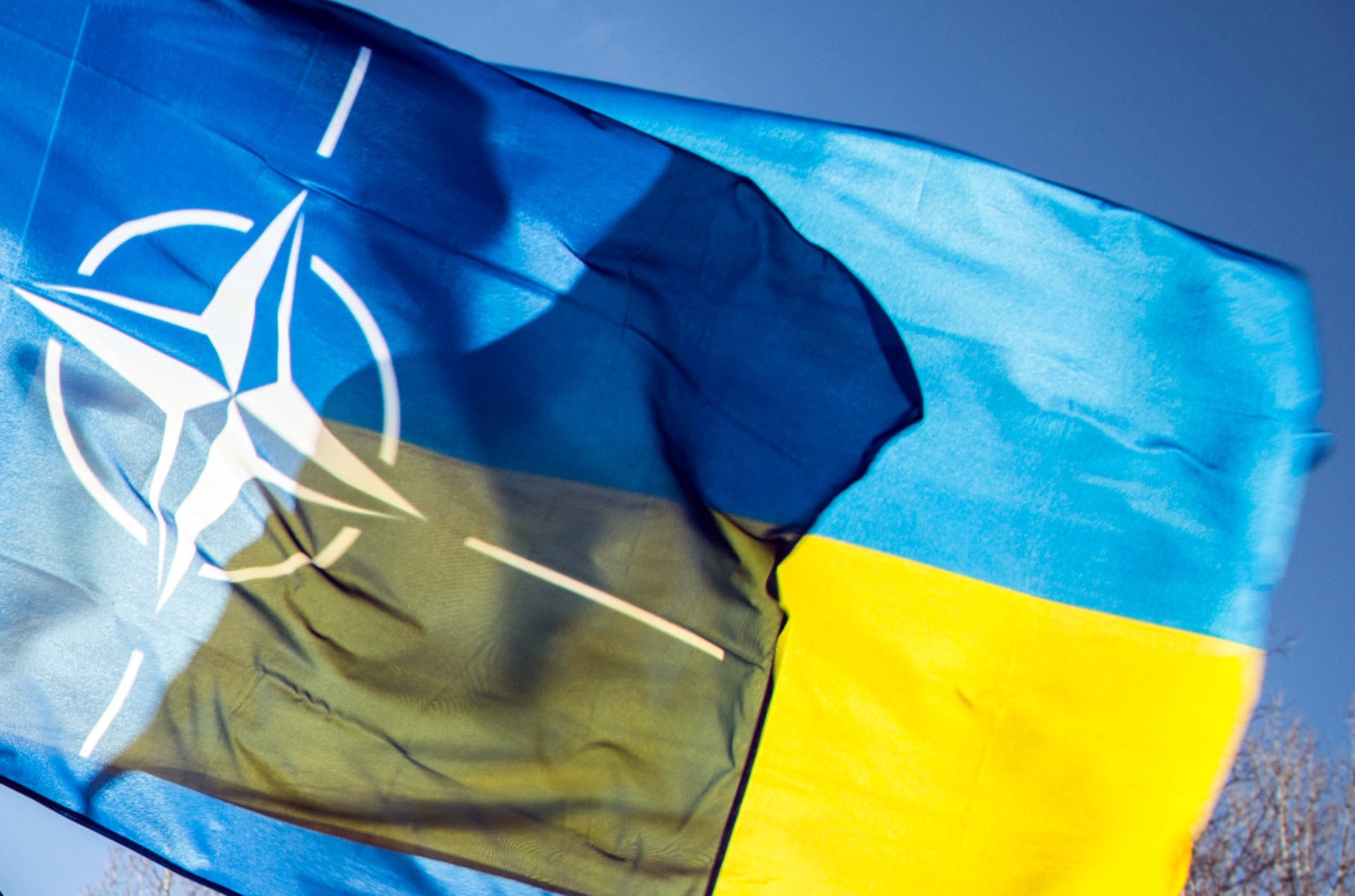 Штаты выступают против блокировок заседаний Украина-НАТО - фото 1