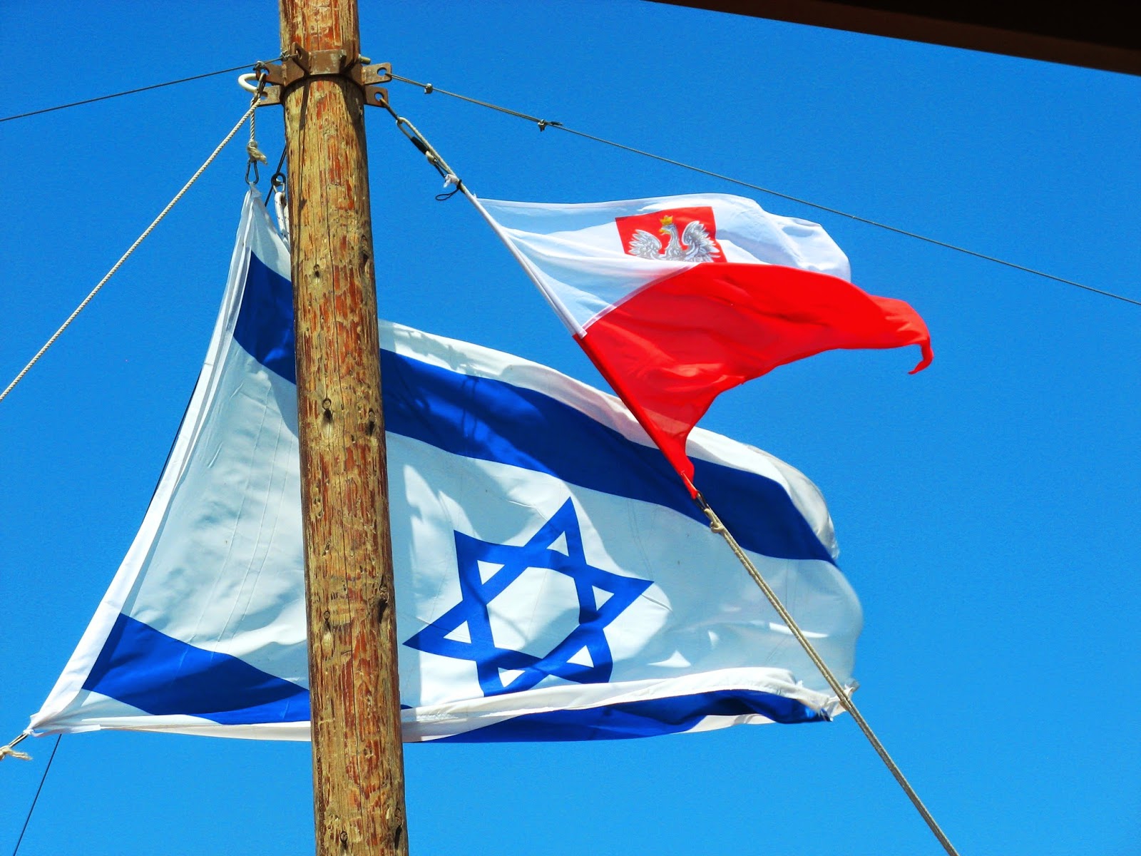 Между Польше и Израилем назревает конфликт - фото 1