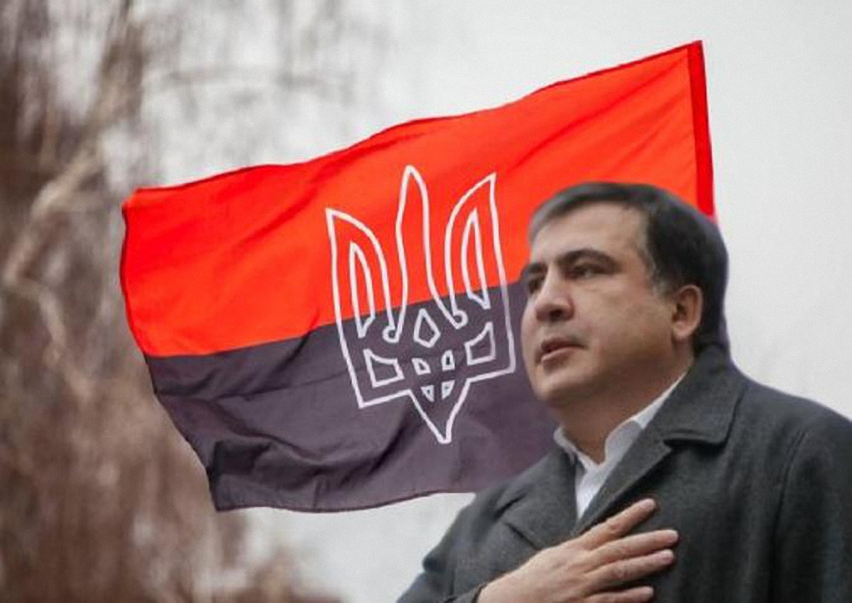 Саакашвили приняли в Польшу - фото 1