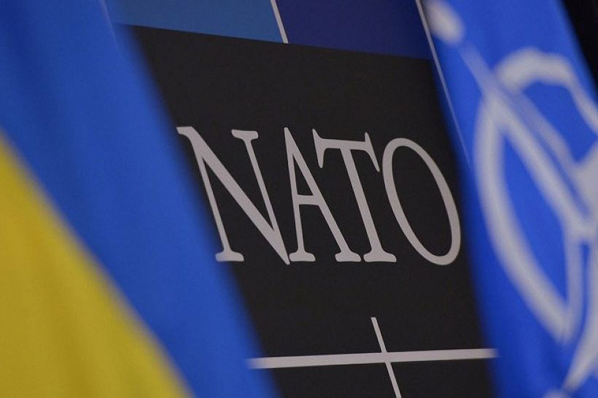 Украина хочет стать членом НАТО в ближайшие 10 лет - фото 1