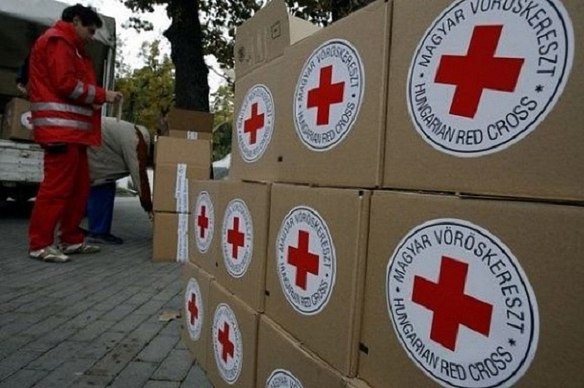 Сколько гуманитарки направил Красный крест в Донецк и Луганск - фото 1