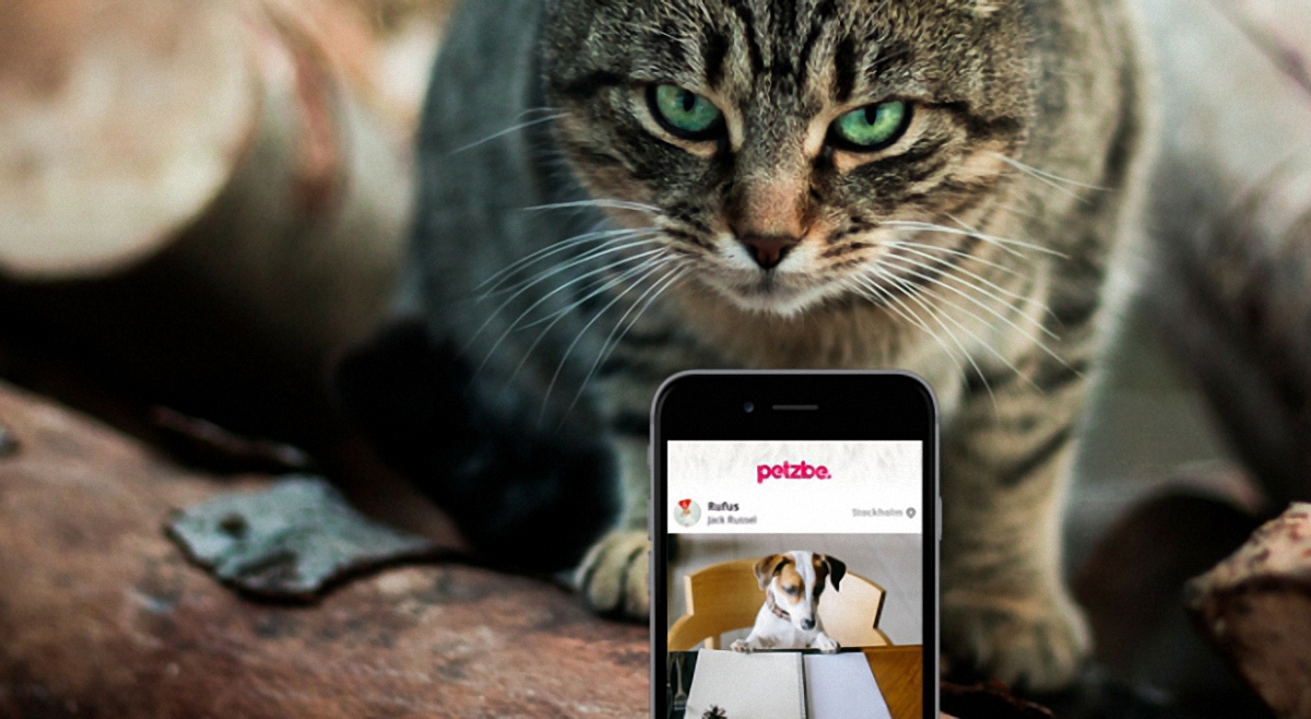 Petzbe - новая социальная сеть для животных - фото 1