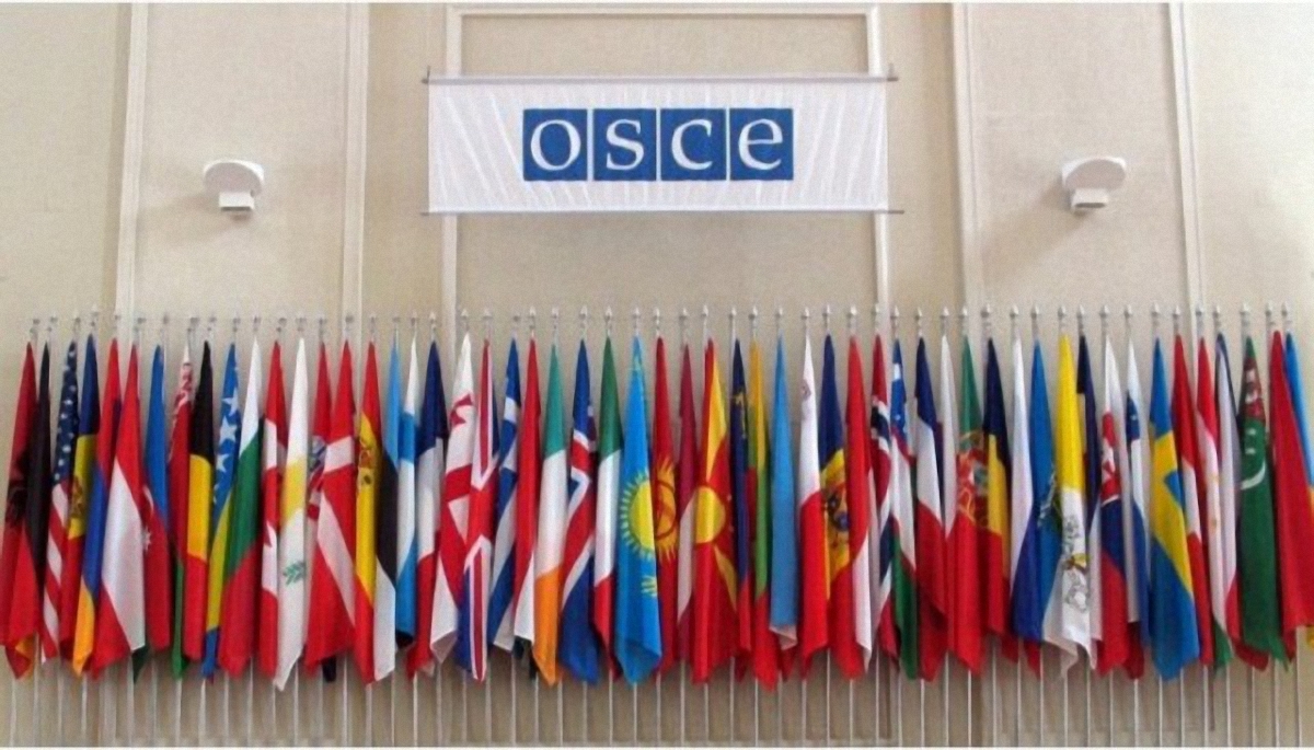 ОБСЕ приняла резолюцию о выводе российских войск из Приднестровья - фото 1
