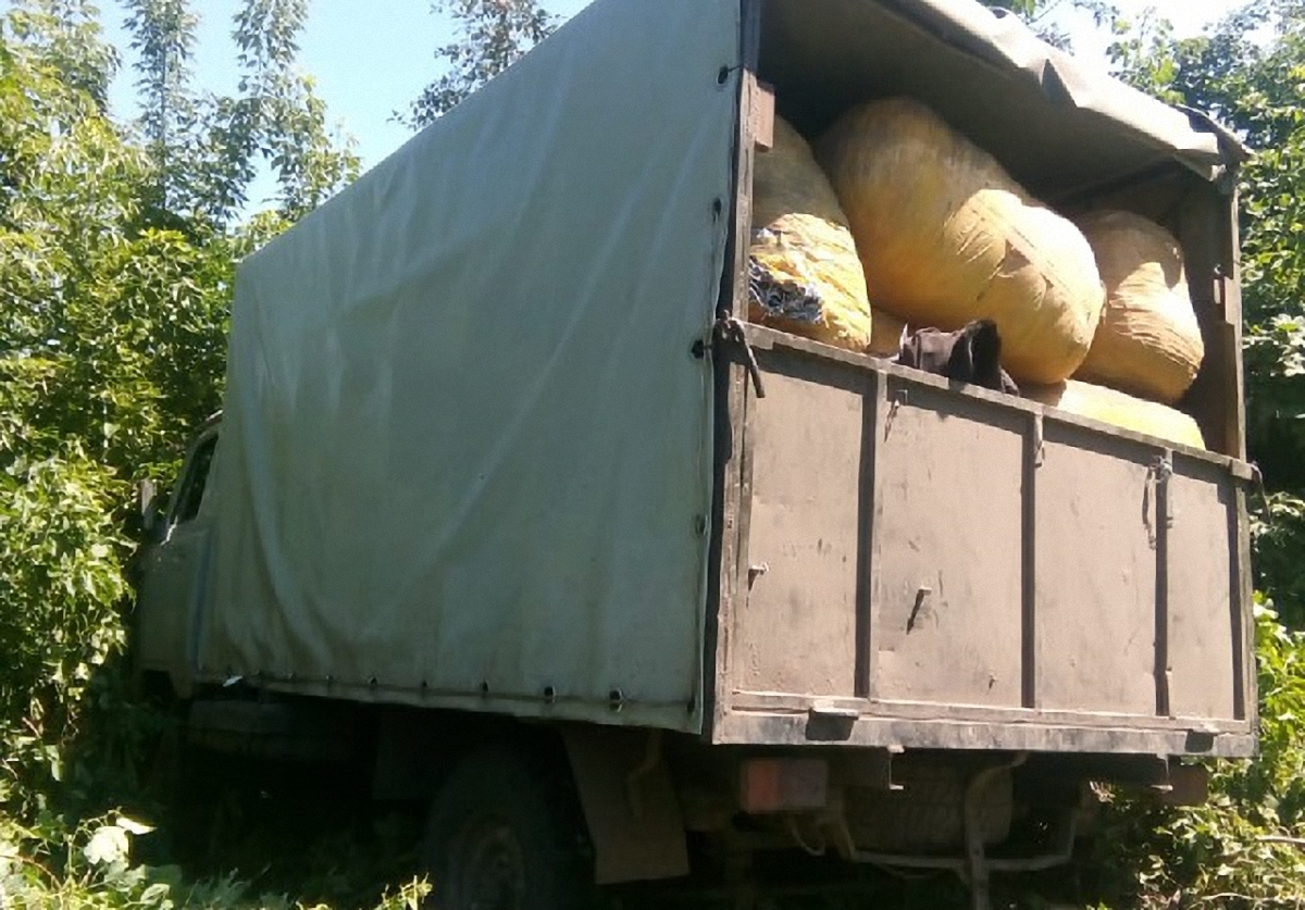 В Сумской области "УАЗ" из России пытался переехать человека - фото 1