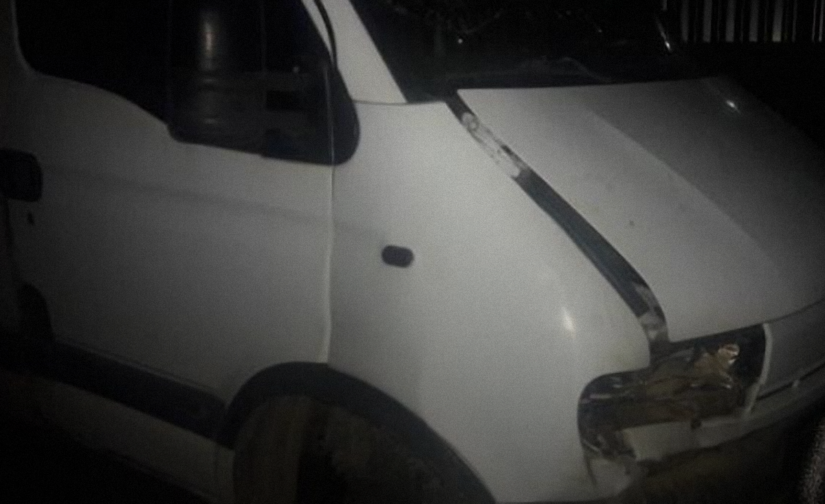 У водителя в крови было 3,07 промилле алкоголя - фото 1