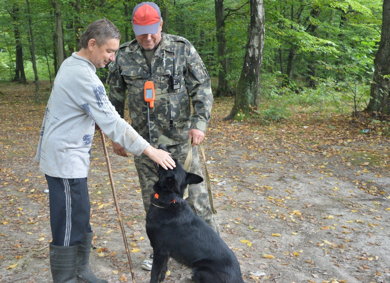 Собака Глория напала на след грибника, которого искали почти сутки в лесу - фото 1