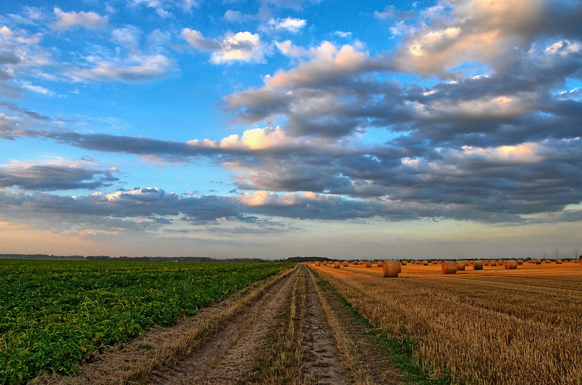 Приобретение агрохолдинга не означает покупку украинской земли  - фото 1