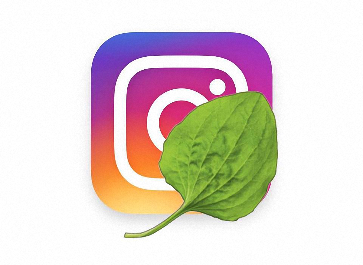 Instagram требует лечения  - фото 1