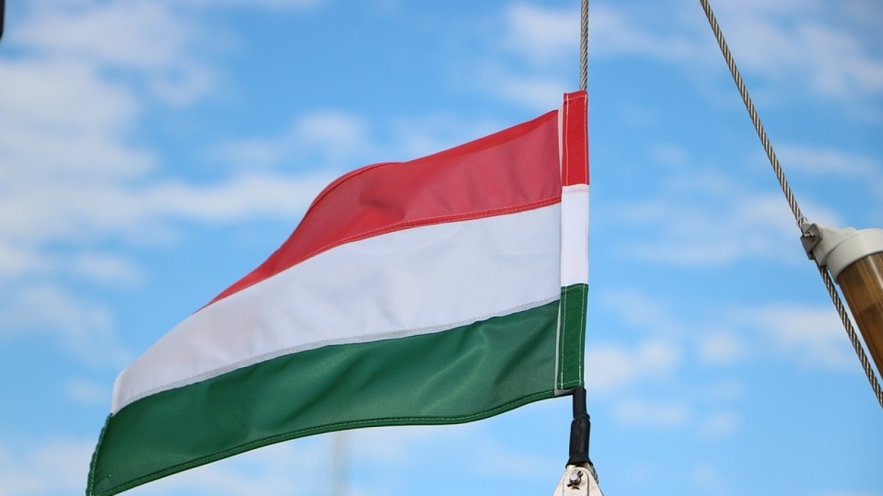 Представитель венгерского МИД заявил, что в Украине объявили "охоту" на закарпатских венгров - фото 1