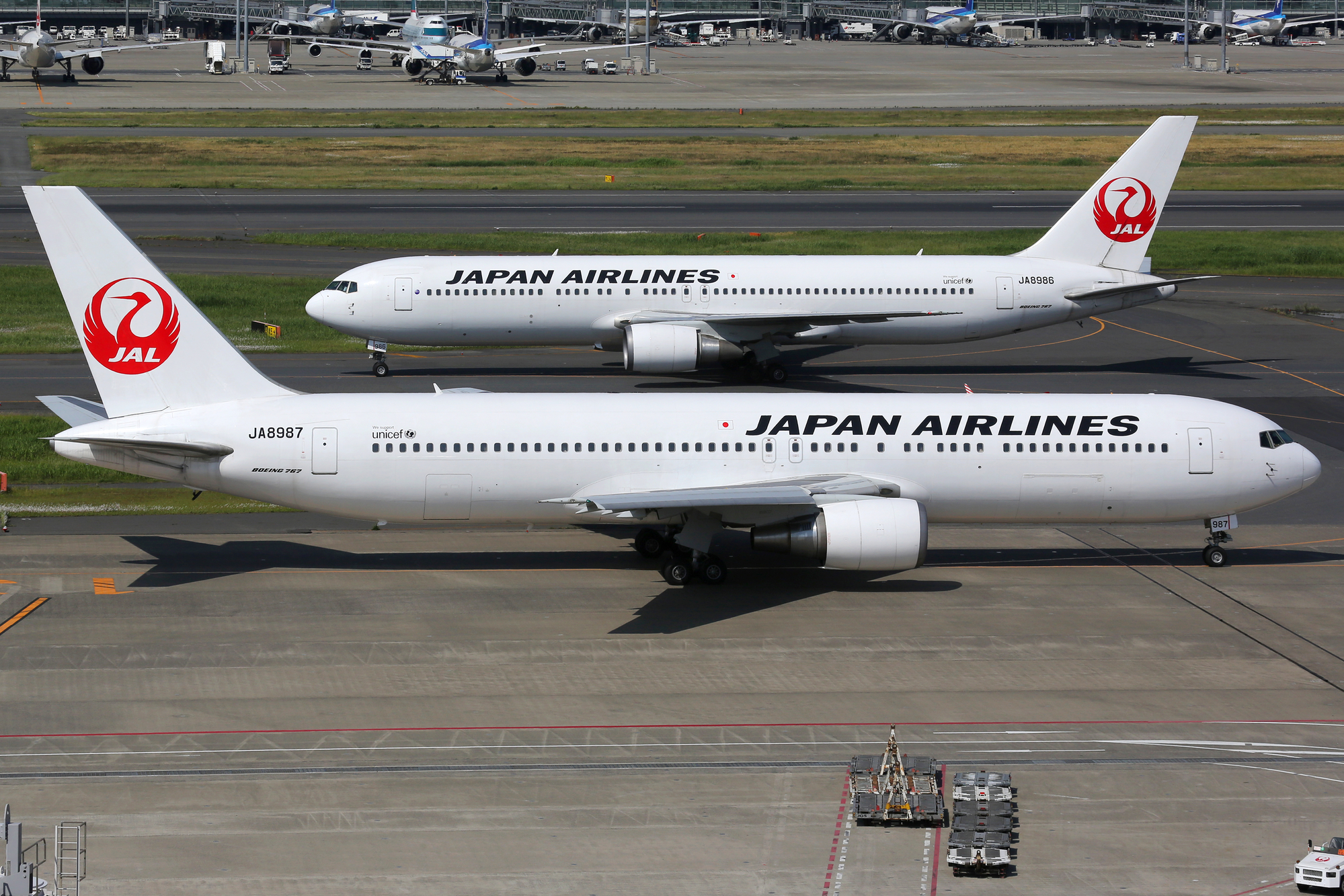 Пьяного пилота Japan Airlines сняли с рейса за час до вылета  - фото 1