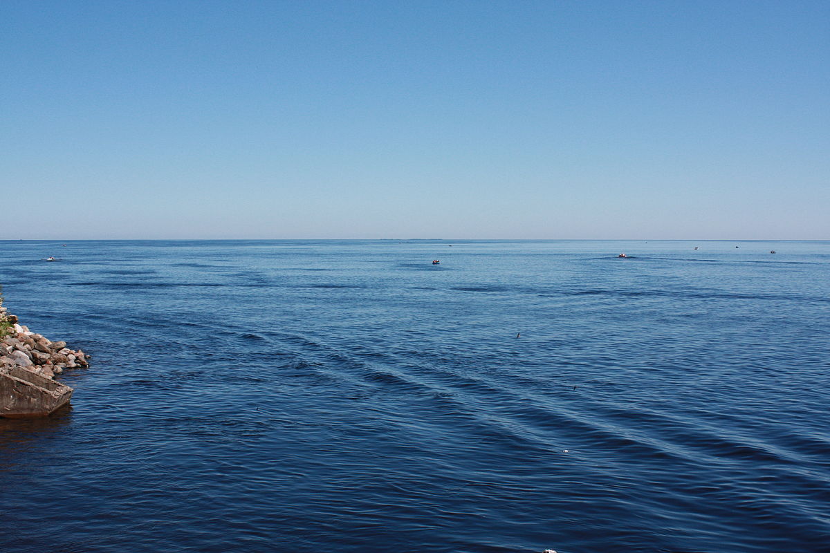 Боевики «ДНР» из рыбацких лодок создали «флотилию» в Азовском море - фото 1