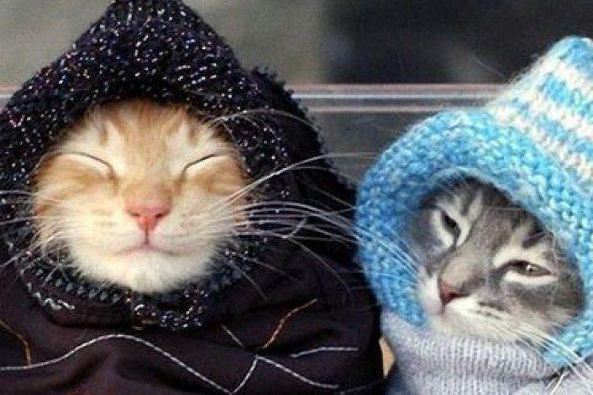 В Украине похолодает еще сильнее - фото 1