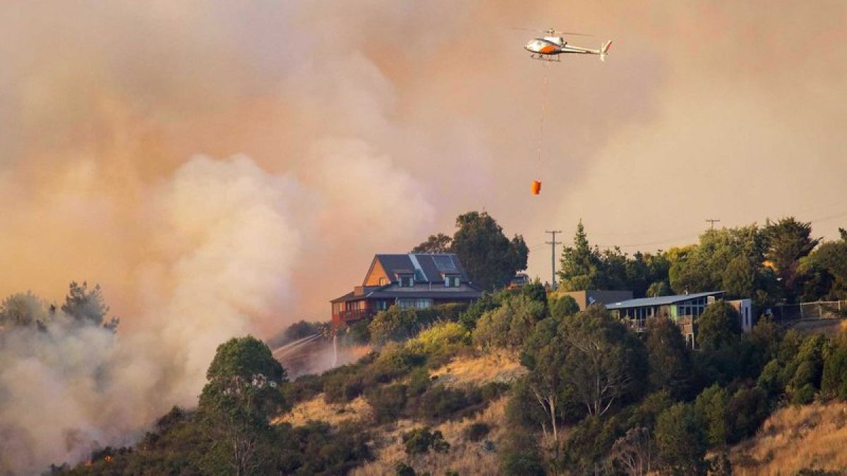 В Новой Зеландии в результате лесного пожара эвакуировали тысячи людей - фото 1