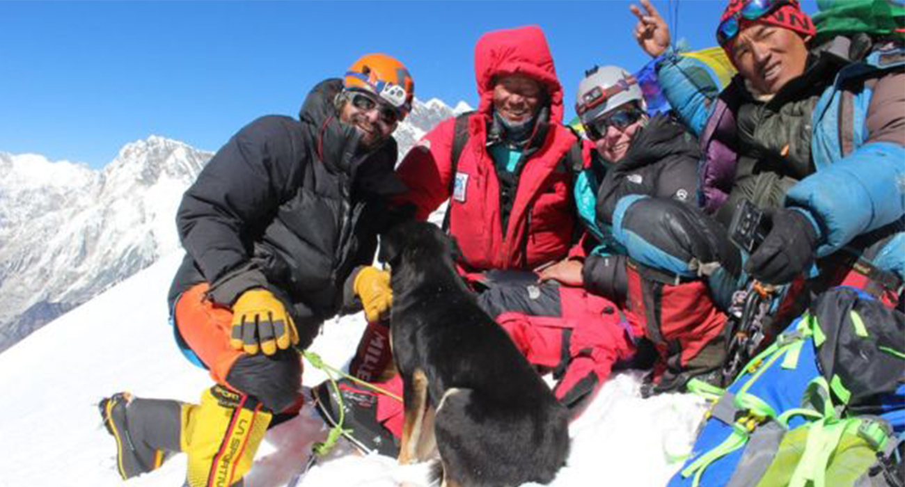 Бродячий пес привязался к альпинистам и покорил с ними вершину в 7 тысяч метров - фото 1