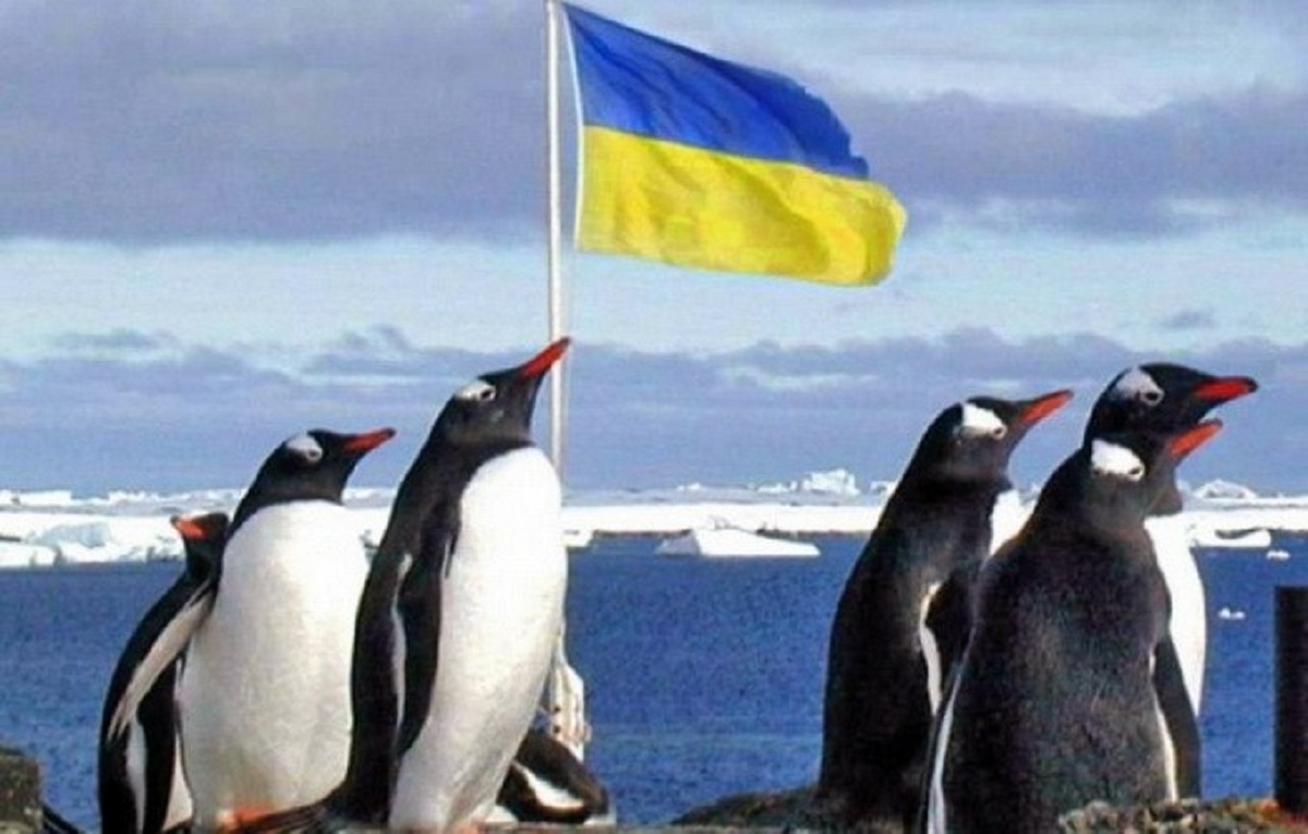 Антарктида не любит Тимошенко - фото 1