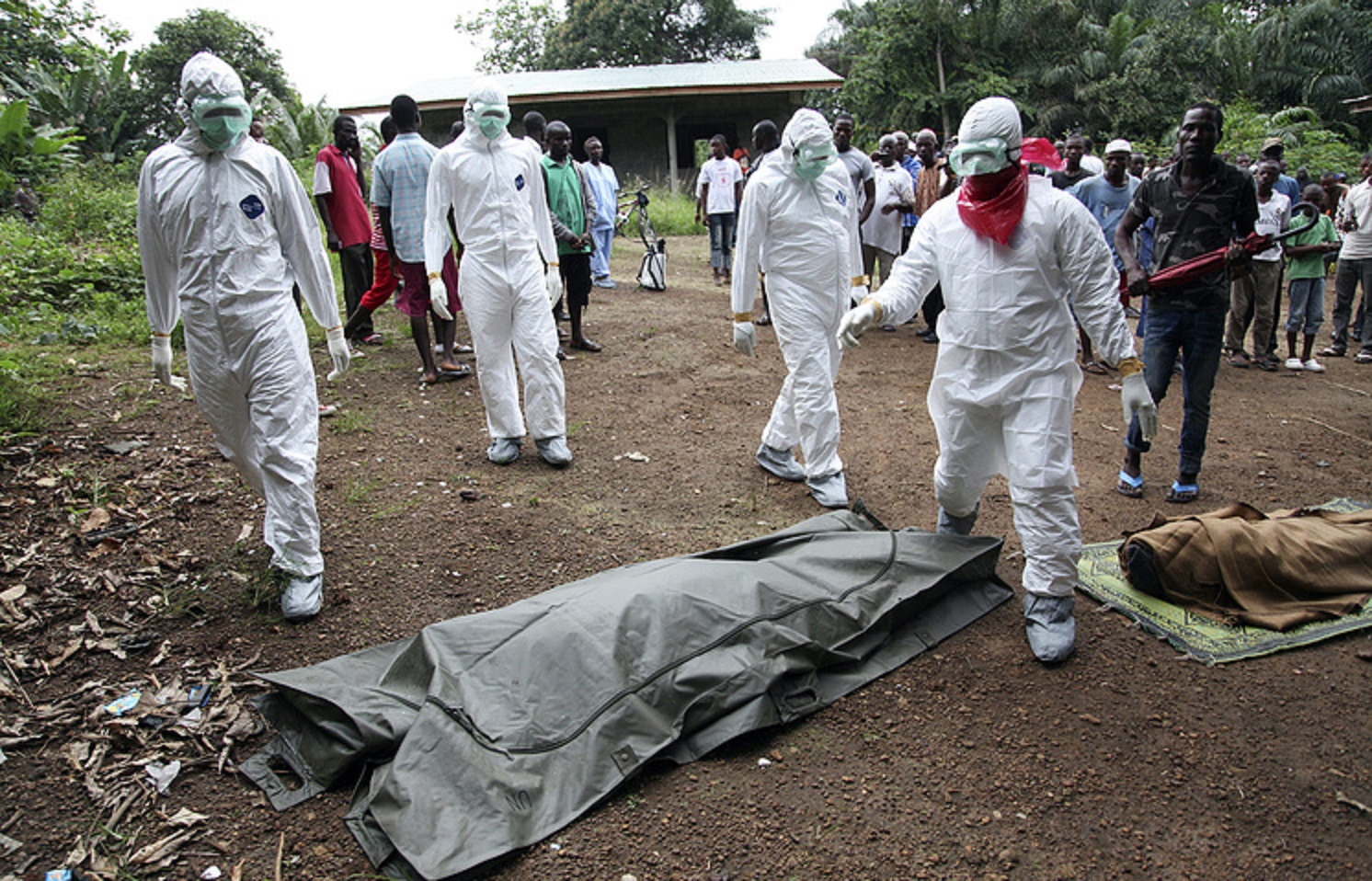 Осторожно, Эбола - фото 1