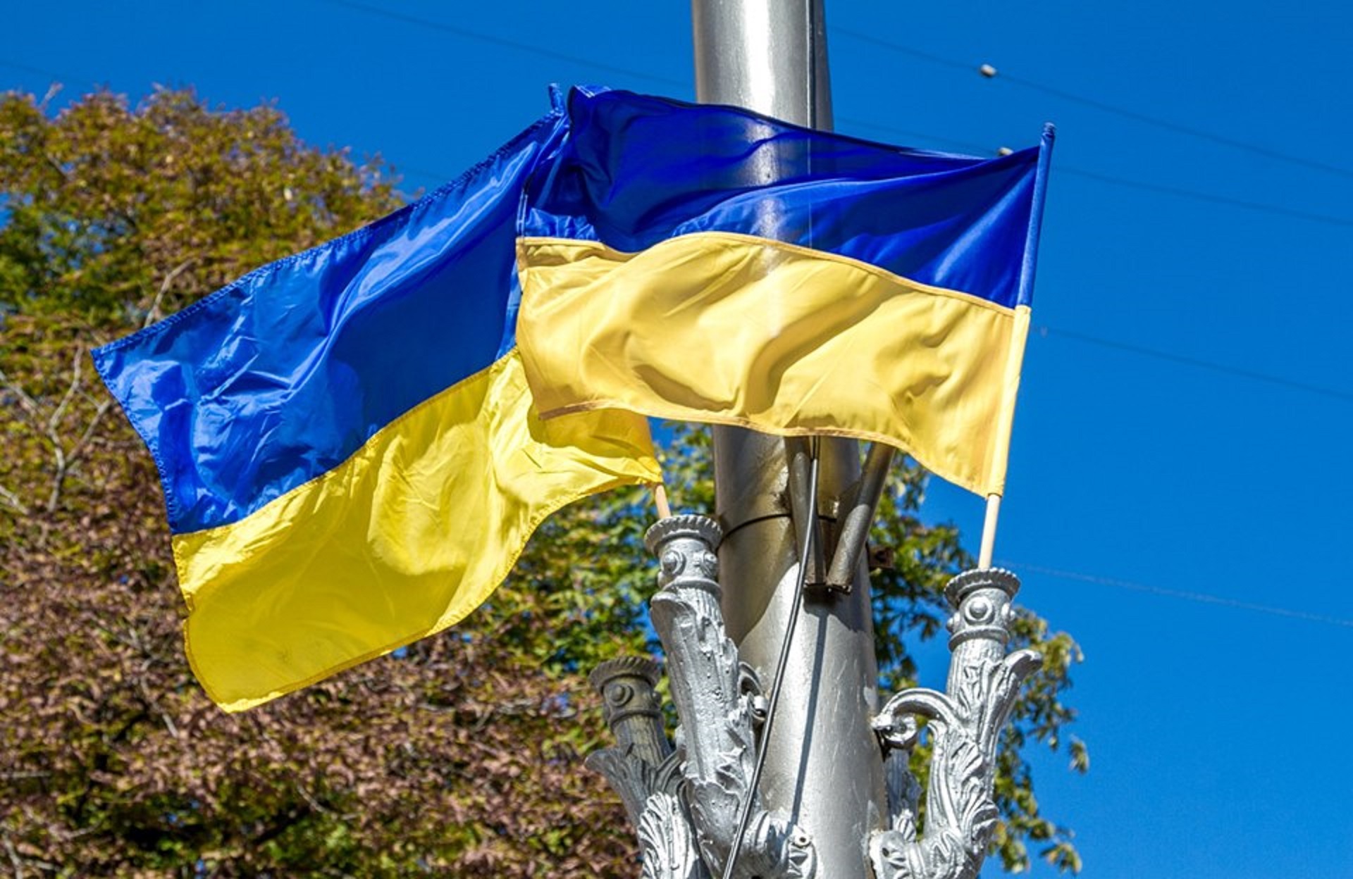 День Независимости 2019 - Украина отмечает 28 день рождения - фото 1