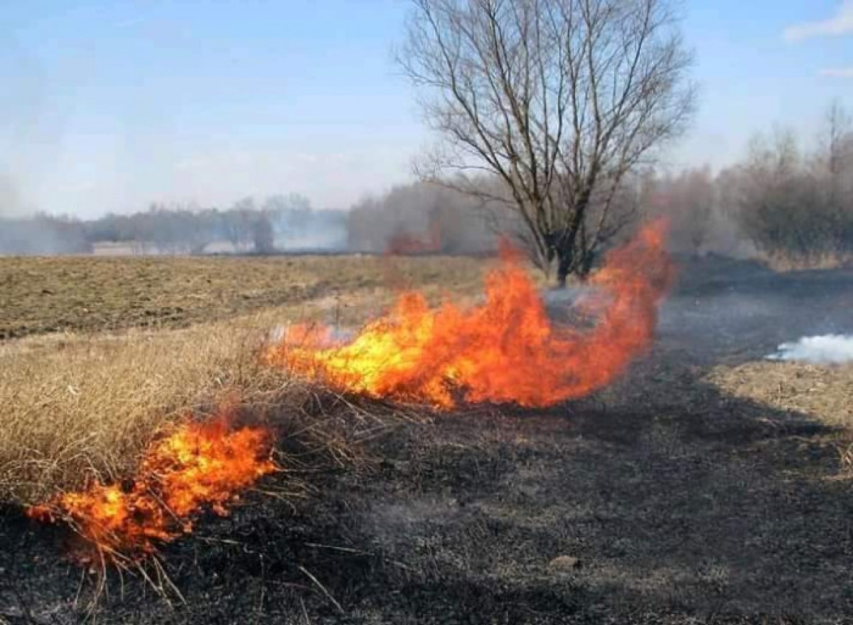  На Житомирщине сгорела бабушка: Она поджигала траву  - фото 1