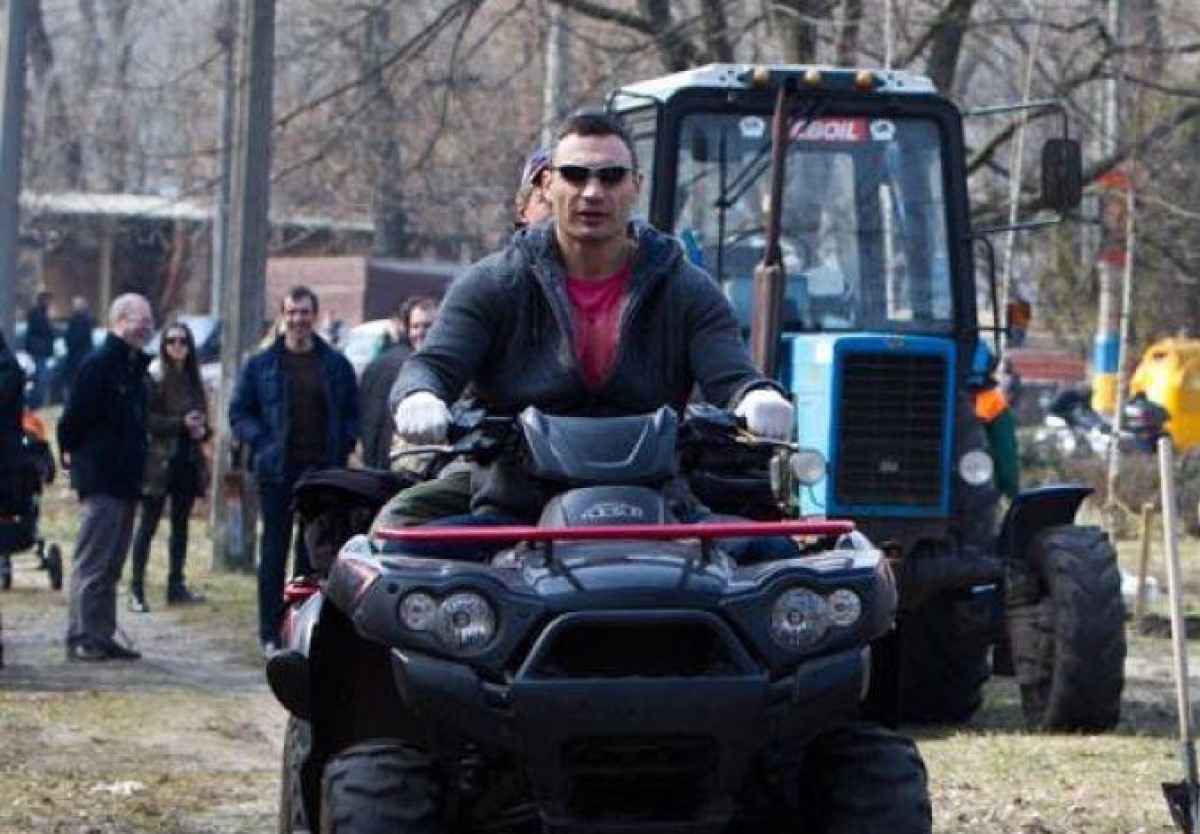  Туёвый мэр: Кличко оправдался за туи в центре Киева - фото 1