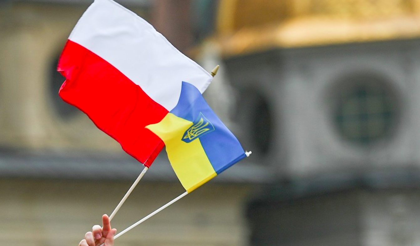 Українці в Польші зможуть відновити втрачене посвідчення водія - фото 1